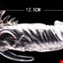 Bao Cao Su Đôn Dên Rung Penis kèm kích thích lỗ nhị