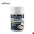 Cường dương nhờ tinh chất Hàu Úc Oyster Plus Goodhealth chính hãng